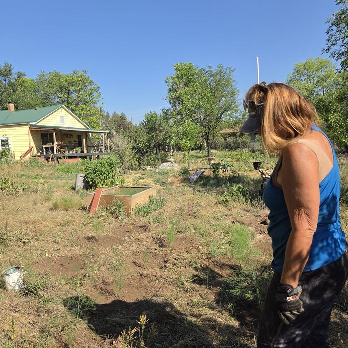 A member standing in the July garden, the farmhouse beyond.