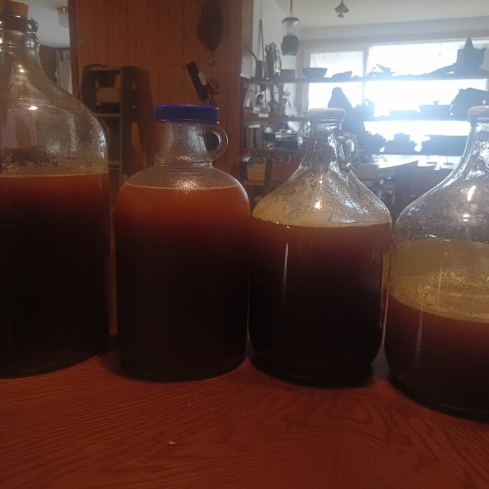 Carboys of freshly pressed juice lined up on the table.